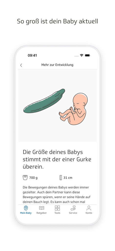 Ein mobiler App-Bildschirm von TK-BabyZeit, der die Größe eines Fötus mit einer Gurke vergleicht, mit Gewichts- und Längenstatistiken.
