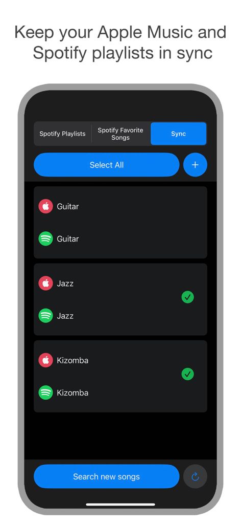 Oberfläche zum Synchronisieren von Musik-Playlists zwischen Apple Music und Spotify