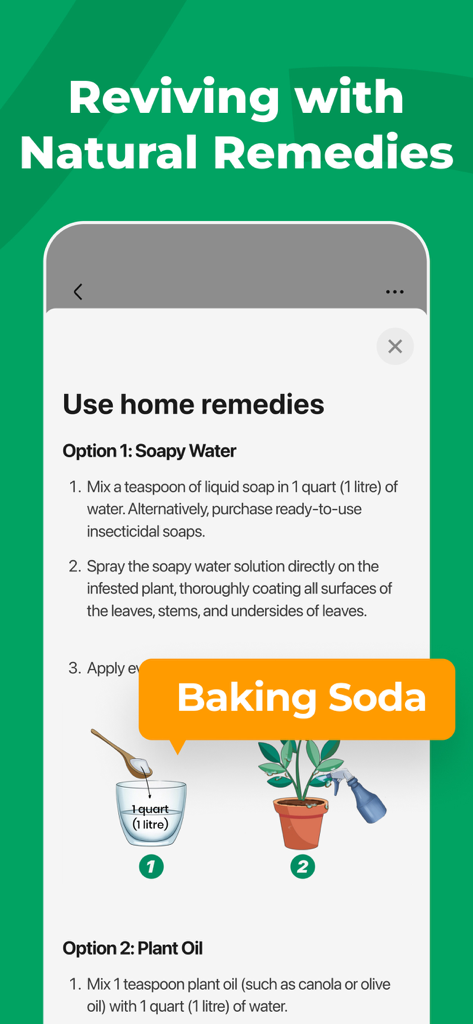 PictureThis 앱에서 식물 관리에 대한 자연적인 가정 요법 및 지침을 표시하는 모습