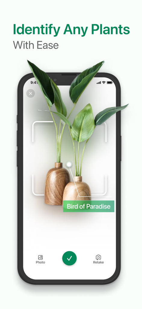Identify My Plant Now - Mobile app interface showing a Bird of Paradise plant being identified through the camera scanner.