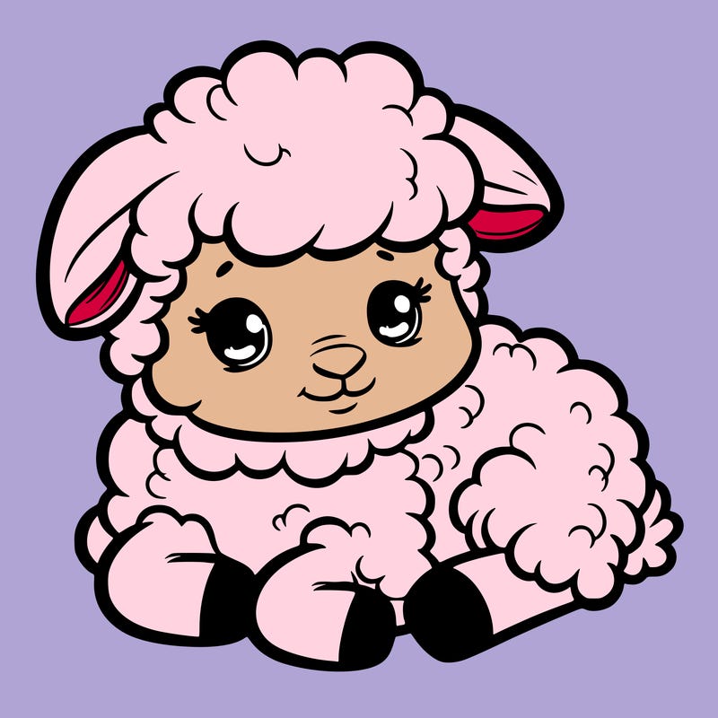 a baby sheep