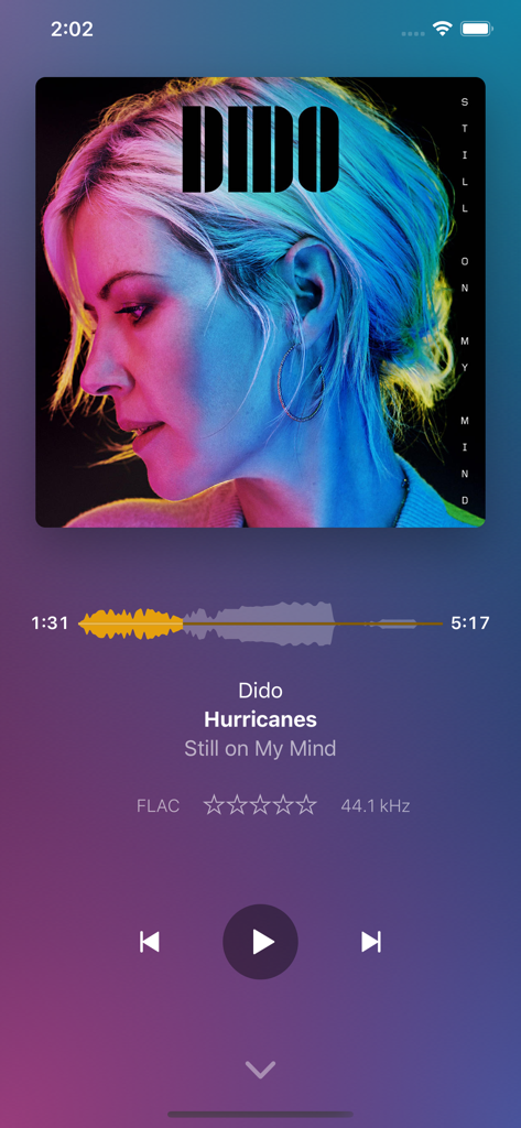 Plexamp Musik-Player-Bildschirm mit Dido Hurricanes und Informationen zur FLAC-Audioqualität