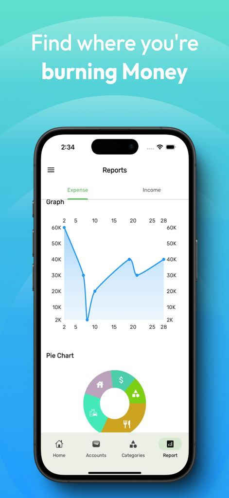 Money Manager app reports screen showing a monthly expense line graph and category pie chart breakdown