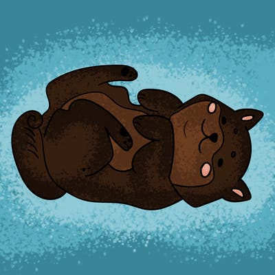 animals_30