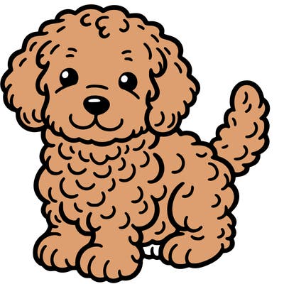 cute puppy golden doodle