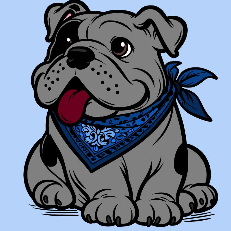 bull dog wearing a bandana