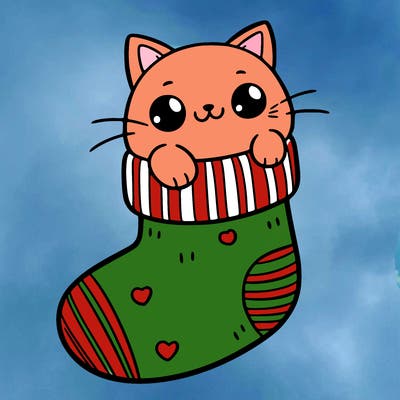 cute cat in a sock