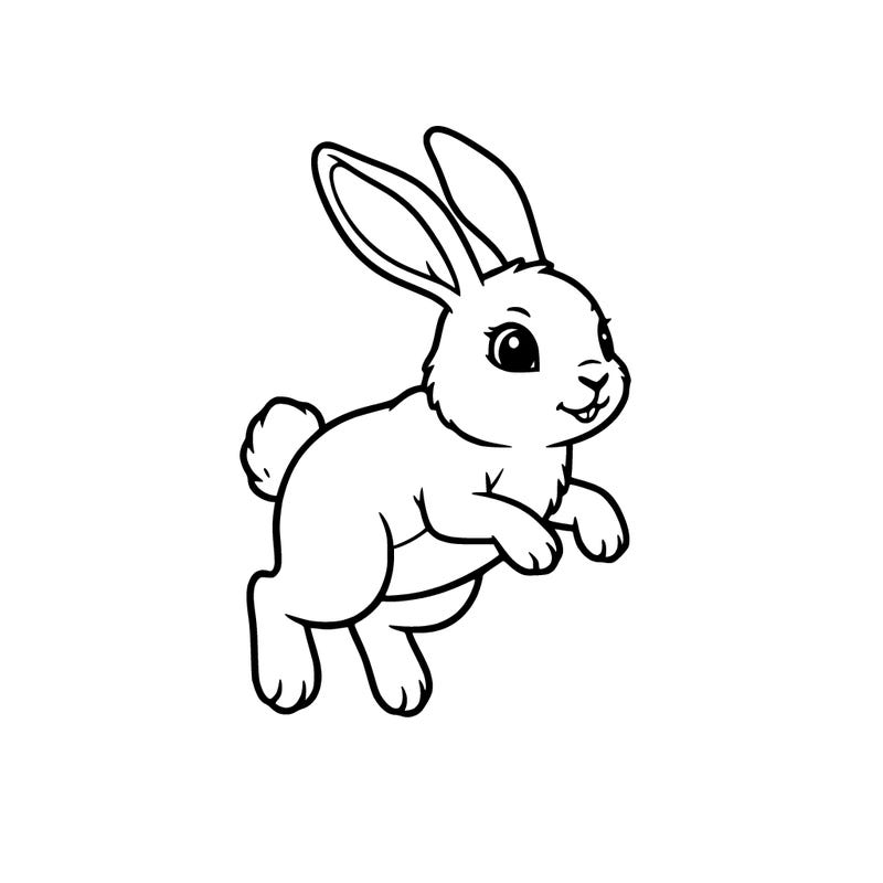 bunny