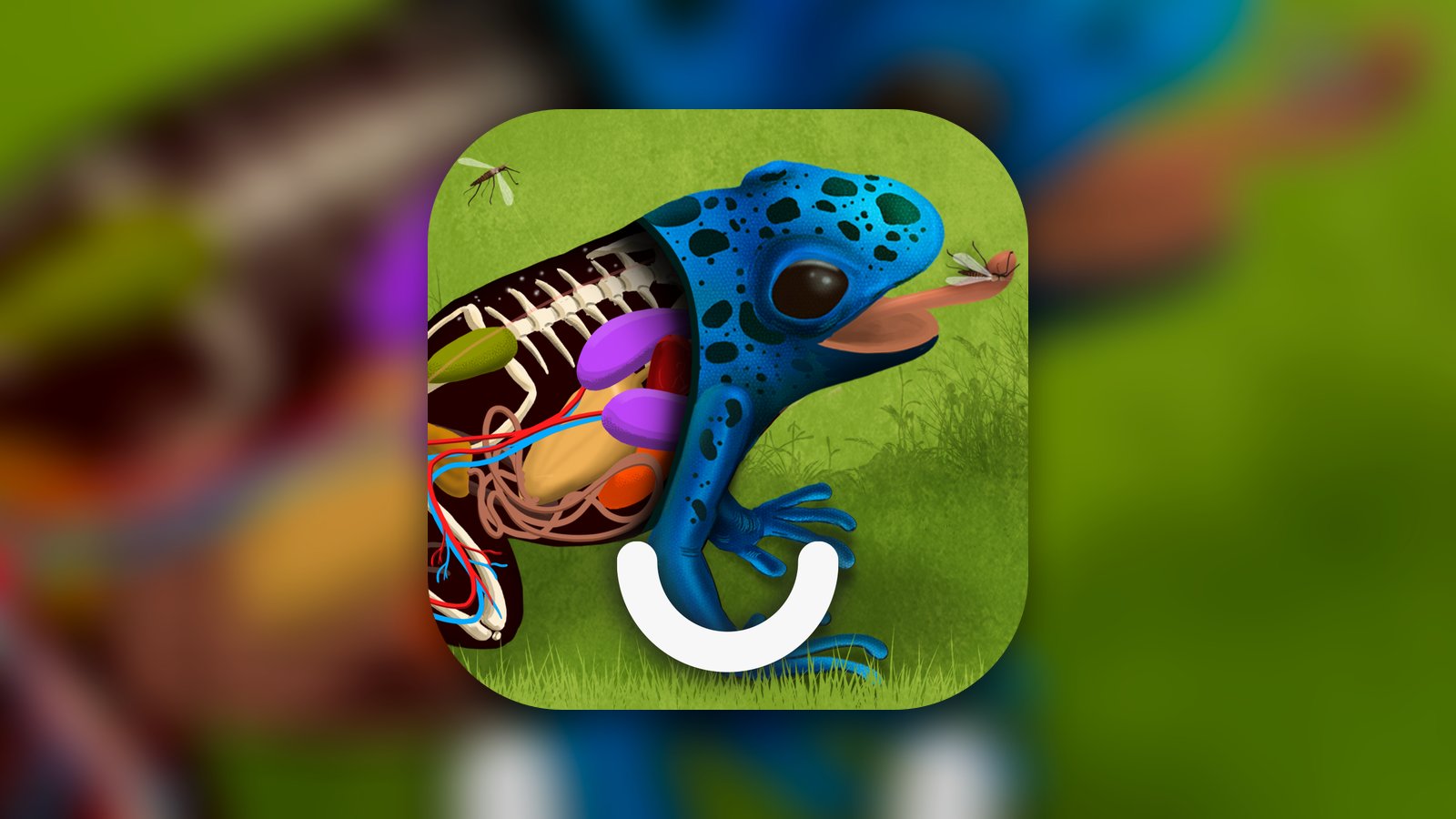 The Animals - Games For Kids - Education App | MWM