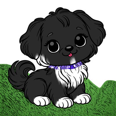 beautiful little dog