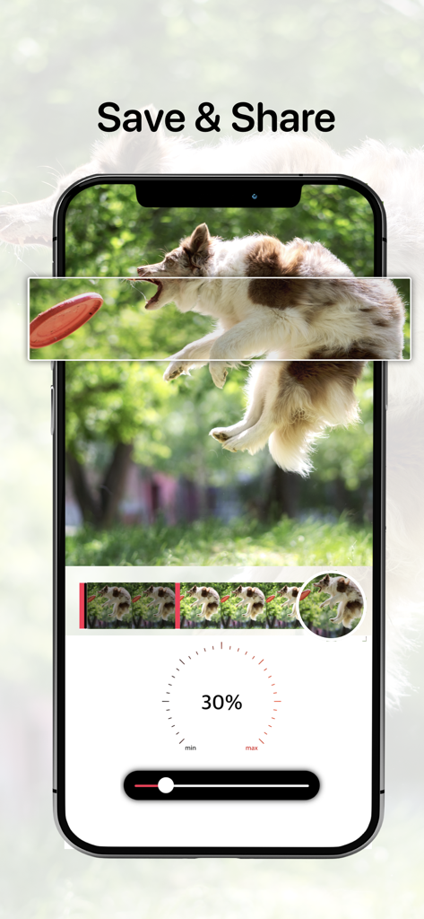 Oberfläche der App Slow Motion Video Maker Pro, die einen Hund zeigt, der im Zeitlupeneffekt einen Frisbee fängt.