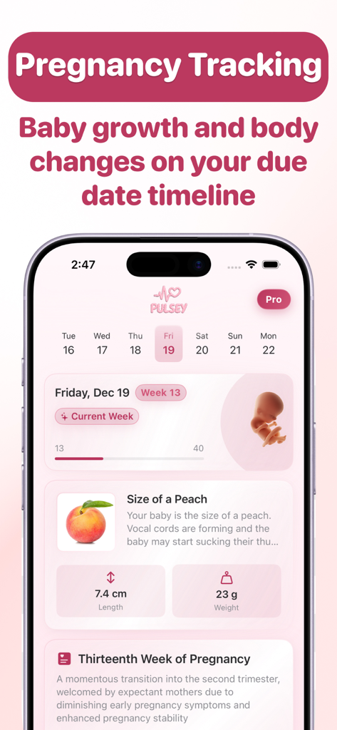 Pulsey app interface showing thirteenth week of pregnancy with baby size comparison to a peach and fetal growth details.