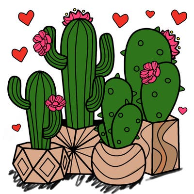 flowers_24_new
