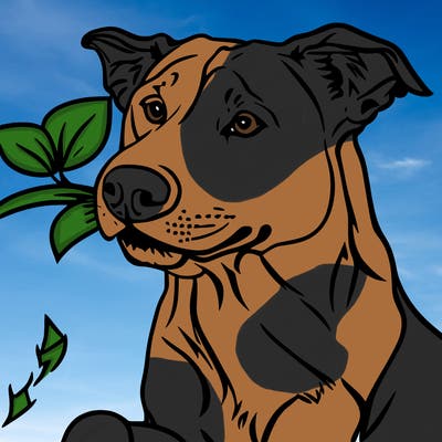 pit bull