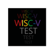 WISC-V Test Practice Pro