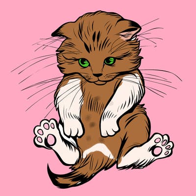 animals_20
