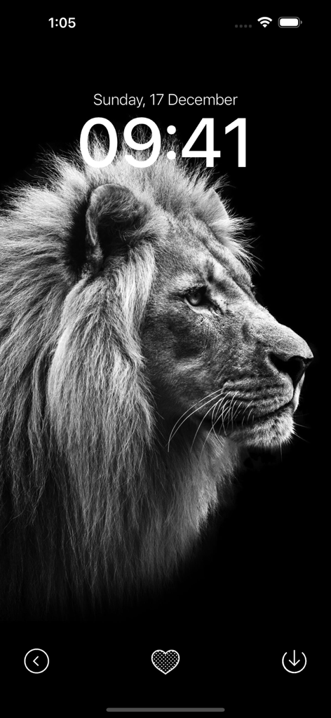 Black Wallpaper App - A black and white lion portrait on a pitch-black background shown on an iPhone lock screen.