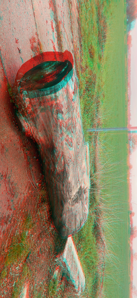 3D Camera One Shot - Red and cyan 3D anaglyph photo of a fallen log on a grassy field