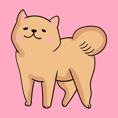 animals_29
