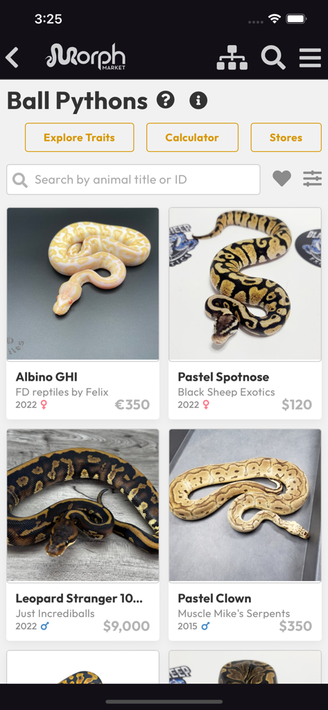 MorphMarket - MorphMarket App zeigt einen Marktplatz für Ballpythons mit verschiedenen Farbmorphs und Preisen