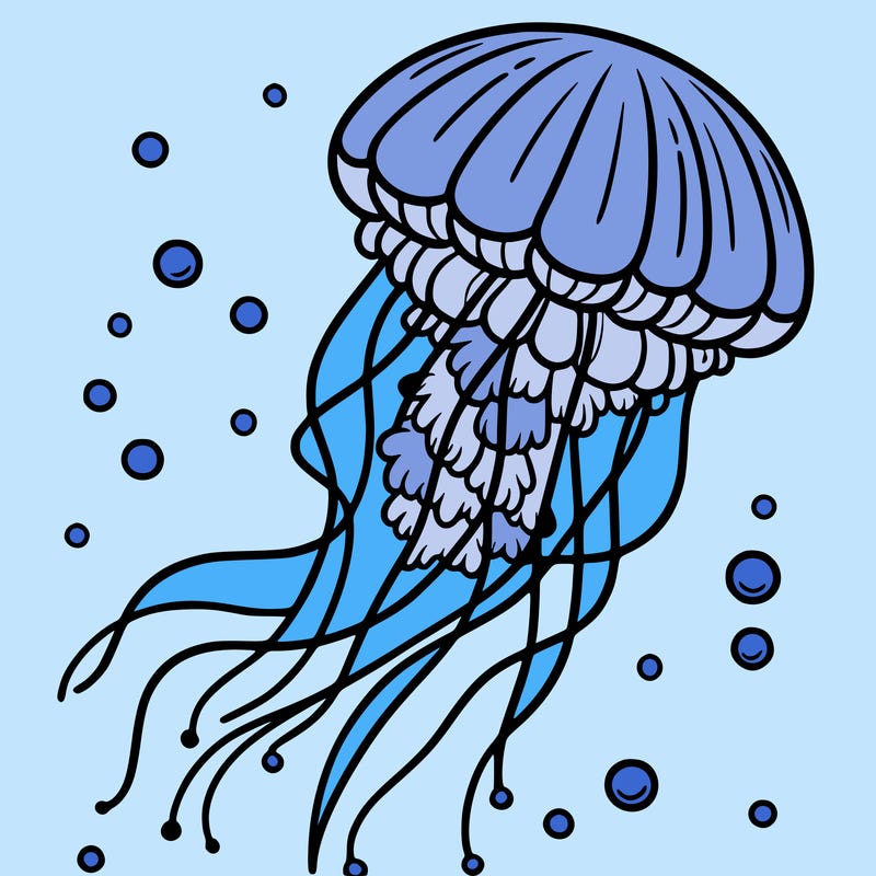 jellyfish