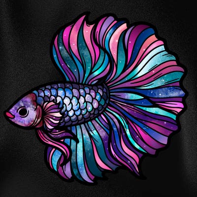 betta fish