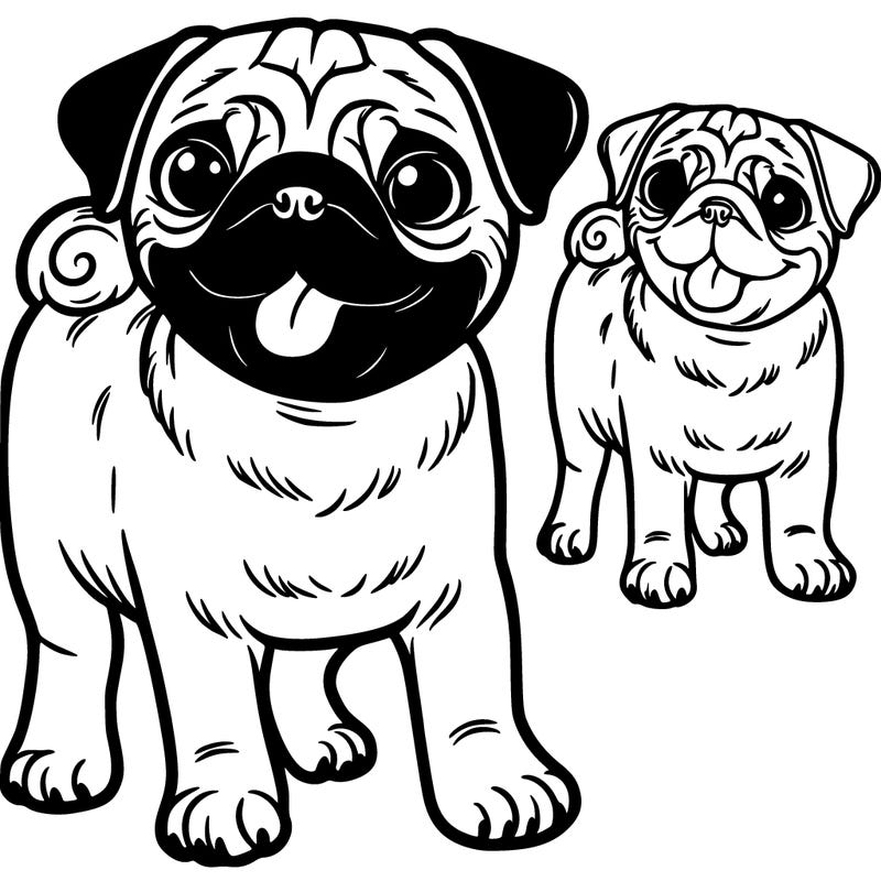 pug