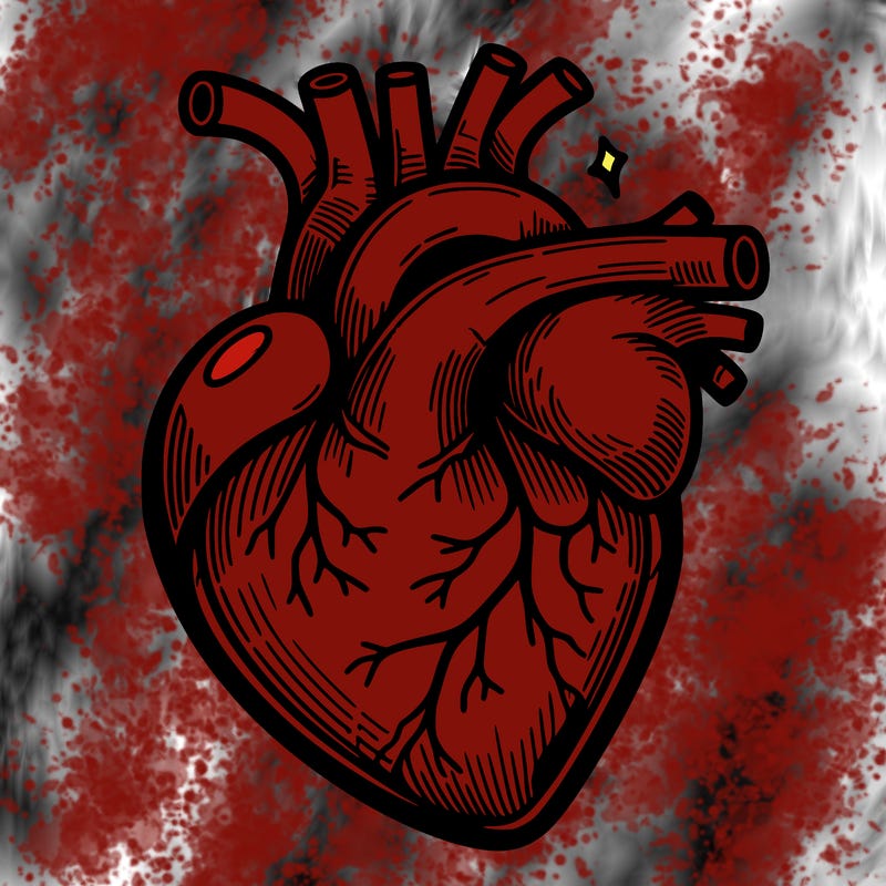 realisticl heart