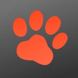 PitPat - App Icon