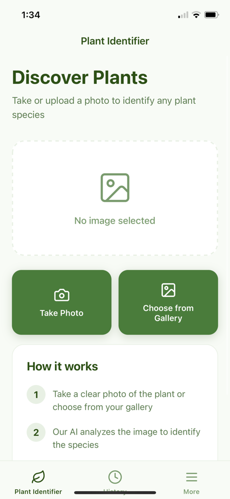 Plant ID & Info App - Main interface of the Plant ID app featuring options to take a photo or choose from the gallery to identify plants