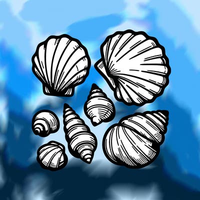 shells