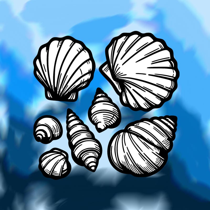 shells