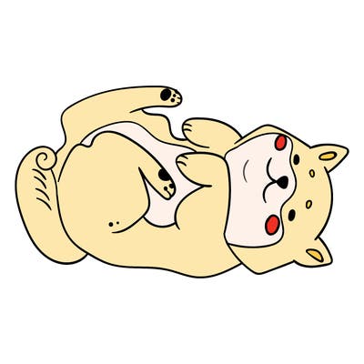 animals_30