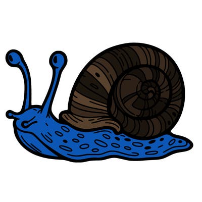 snail