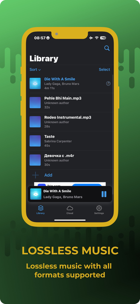 Premium Music Offline Player - A smartphone display showing the music library interface of the Premium Music Offline Player app with a list of songs and a footer highlighting lossless music support.