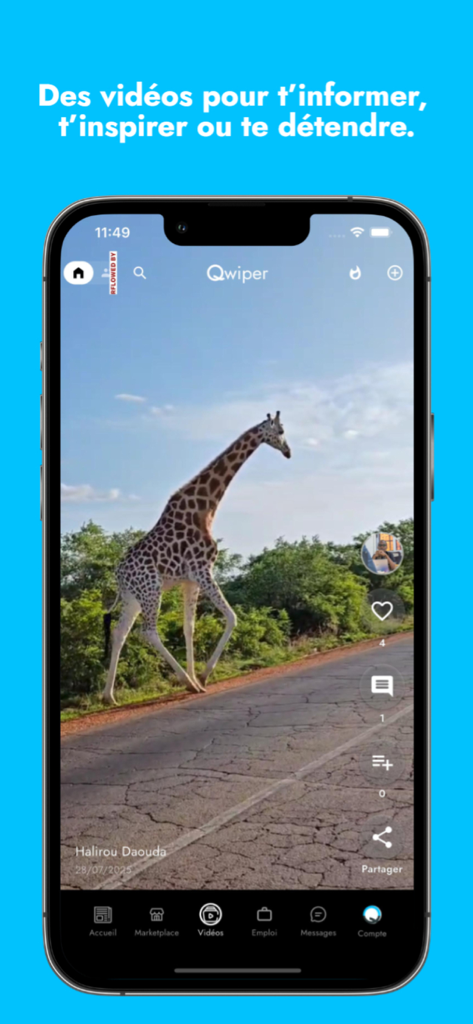 Qwiper - Qwiper app interface displaying a full screen vertical video of a giraffe