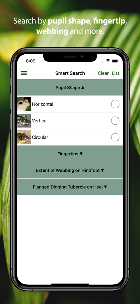Smart Search screen in the Frogs of Southern Africa app displaying identification filters like pupil shape and webbing
