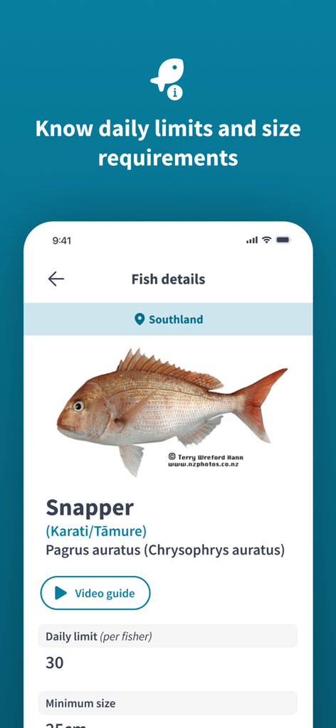 NZ Fishing Rules - La aplicación NZ Fishing Rules muestra la identificación de peces para Snapper con límites diarios y requisitos de tamaño.