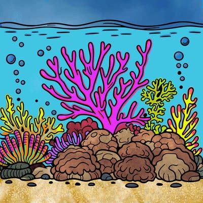 coral-reef out line