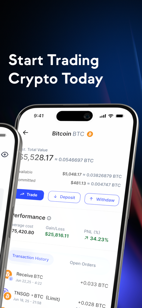 Coinhako mobile app dashboard showing Bitcoin balance and trading performance.
