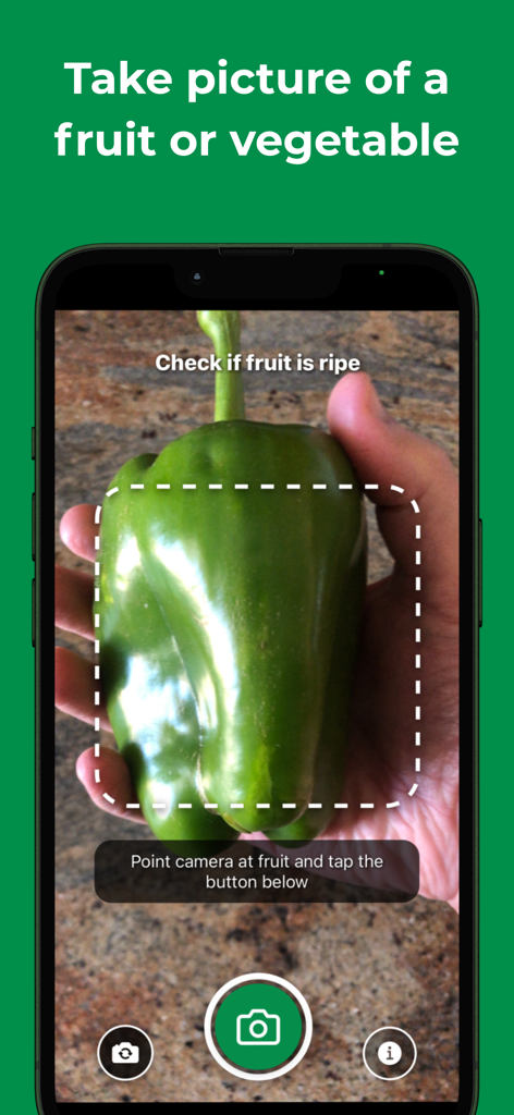 RipenessFoody: Check Ripeness - A smartphone using the RipenessFoody app to scan a green bell pepper and check its ripeness.