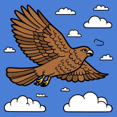 a hawk soaring in the sky