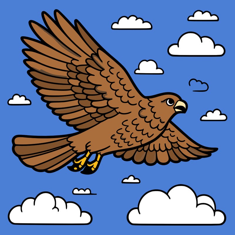 a hawk soaring in the sky