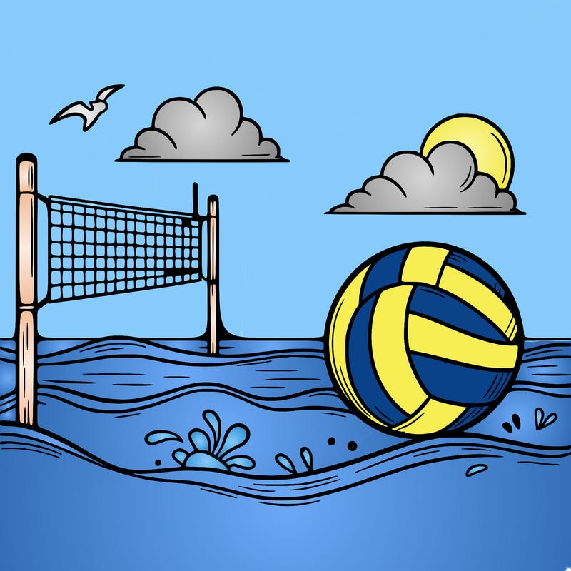 beach volleyball