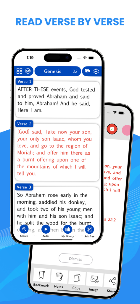Amplified Bible - Interfaz de la aplicación Biblia Amplificada mostrando lectura versículo por versículo de Génesis 22 en un iPhone