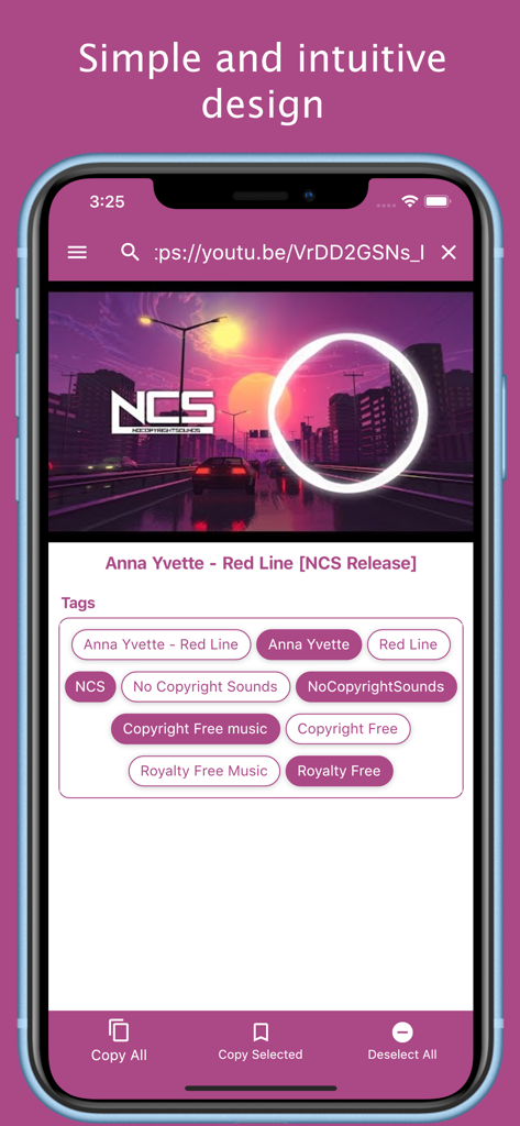 SEOのための動画メタデータとキーワード抽出を表示するYT用タグアプリのインターフェースのスクリーンショット