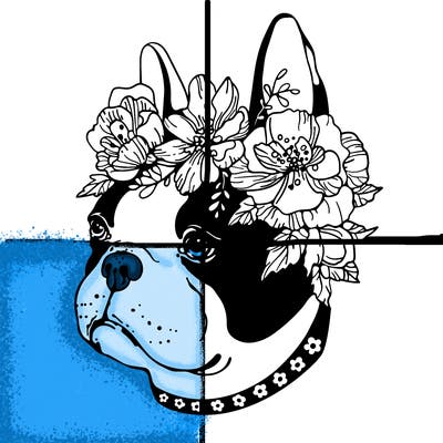 animals_76