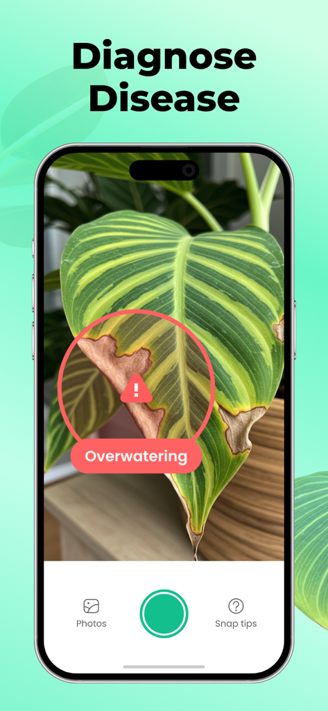 Plant Parent: Plant Care Guide - Plant ParentアプリがAI診断を使用して、植物の葉の水のやりすぎの問題を特定している様子