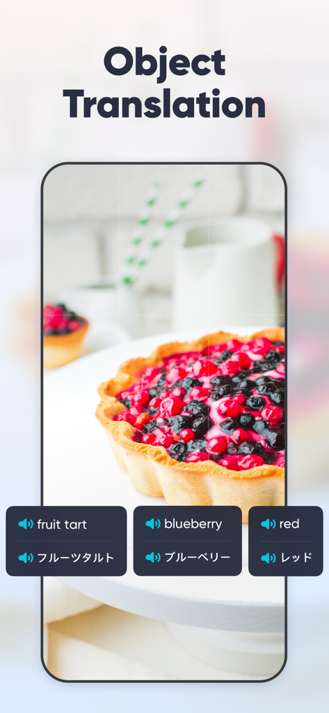 UDictionary Translator - UDictionary Translator app interface showing the object translation feature scanning a fruit tart