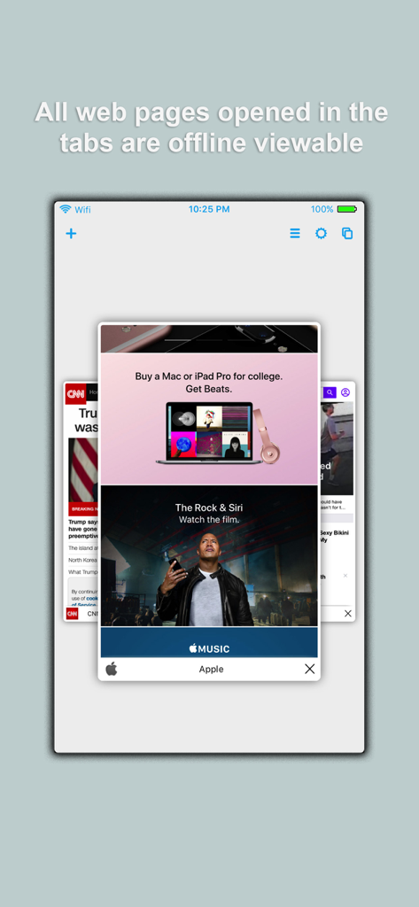 Oxygen Offline Browser - Interfaz de Oxygen Offline Browser que muestra varias pestañas abiertas disponibles para ver sin conexión